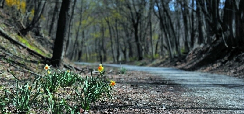 Dewey Heights - Residential