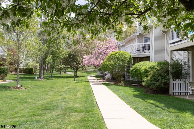 Mayfield  The Hills - Residential