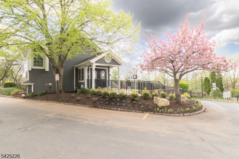 Mayfield  The Hills - Residential