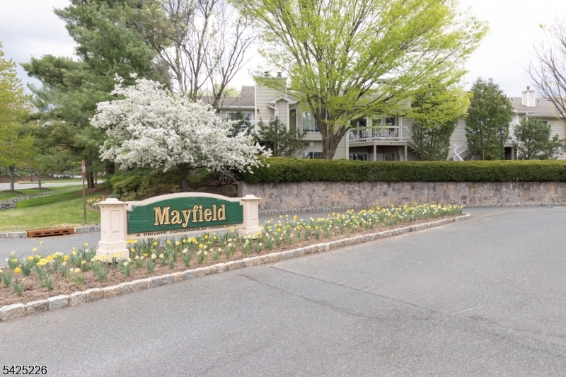 Mayfield  The Hills - Residential