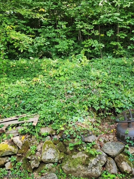 Pleasant Valley Lake - Residential