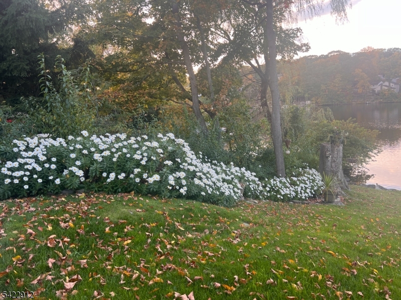 Upper Greenwood Lake - Residential