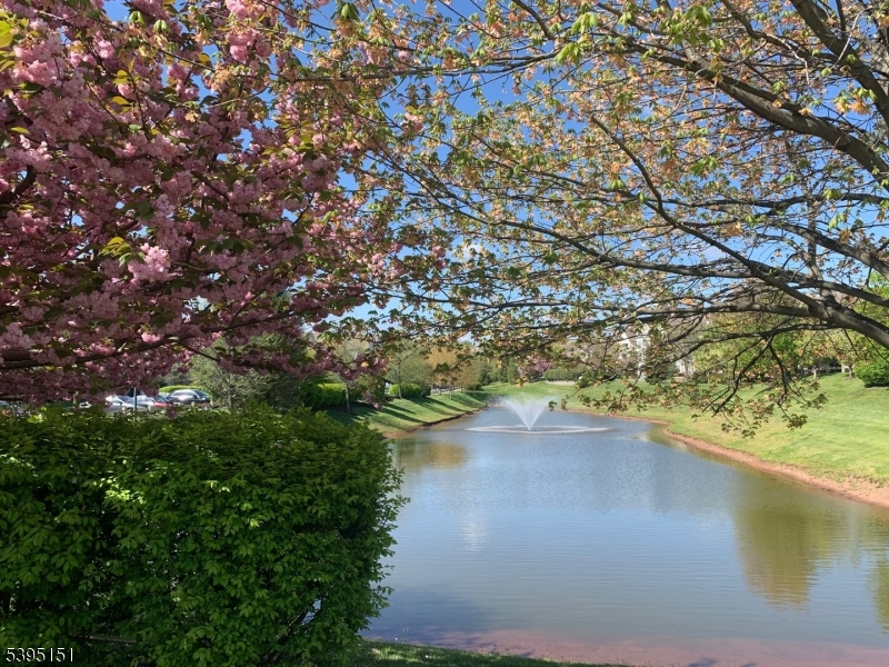 Somerset Run - Residential