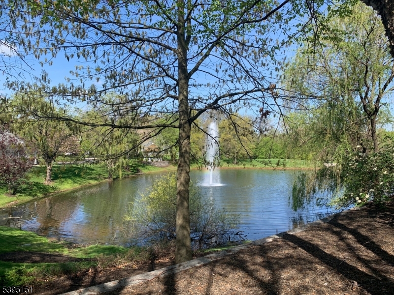 Somerset Run - Residential