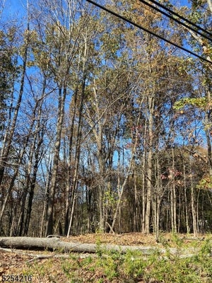 TERHUNE DR, WAYNE, NJ 07470 - Image 8b56484ea5f7260ecfb79cd91bd243be/1370973864