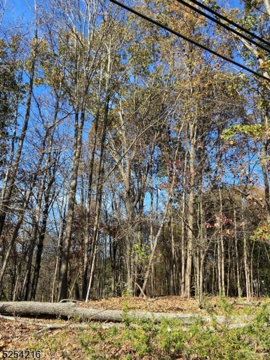 Large Lot 4.20 Acres. Wayne Water Front Property Overlooking Pompton Lakes Located Close To The Oakland/Wayne Border. Zoned R-A. Lot is approved tobuild a single family home.
