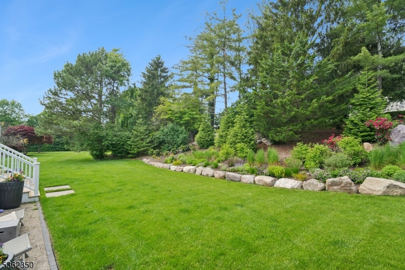 The Hill - Residential