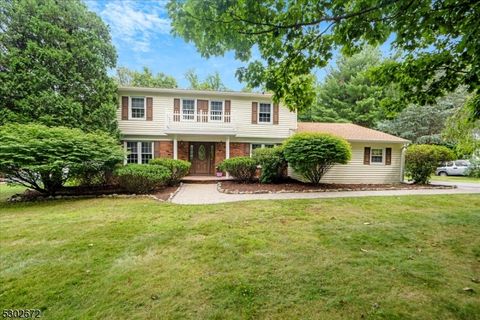 11 Jean Dr, Montville Twp., NJ 07082 - #: 3915291