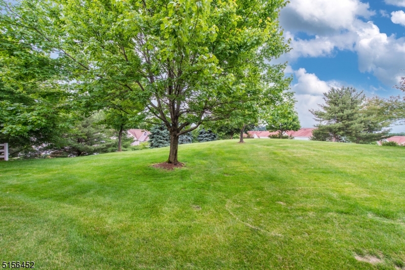 Boulder Ridge - Residential Lease