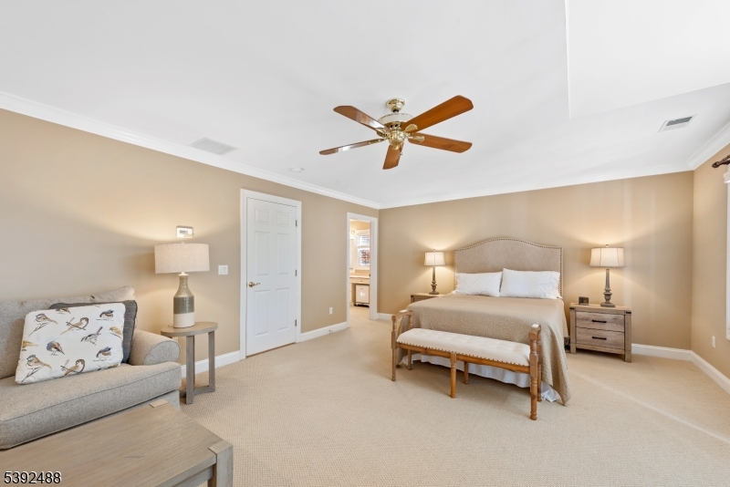 Lamington Falls - Residential