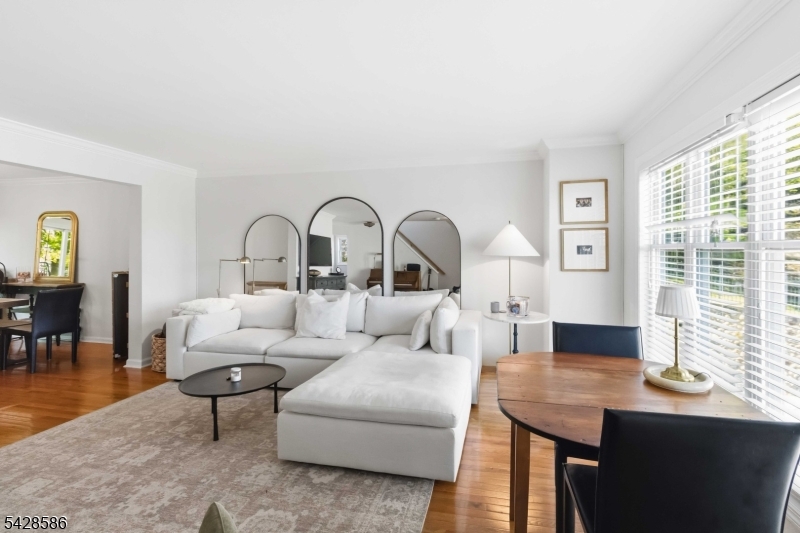Mt. Kemble Mews - Residential