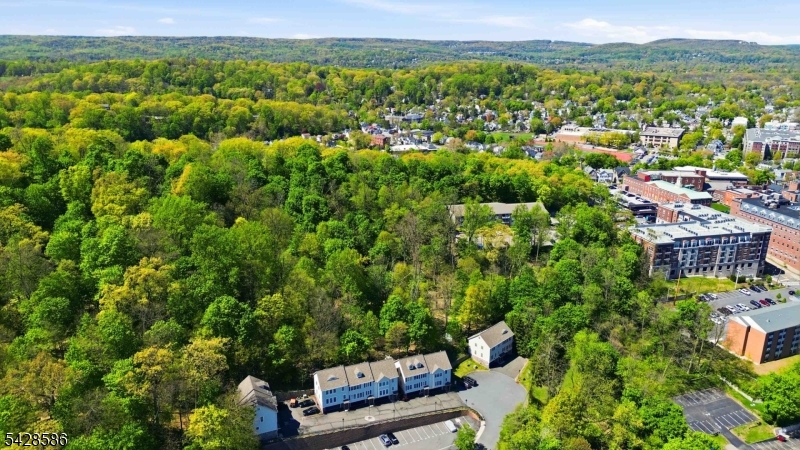 Mt. Kemble Mews - Residential