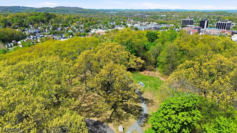 Mt. Kemble Mews - Residential