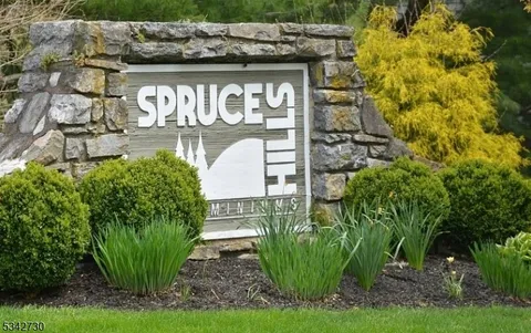 206 Spruce Hills Dr, Glen Gardner Boro, NJ 08826 - MLS#: 3952070
