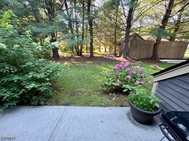 Bald Eagle - Residential Lease