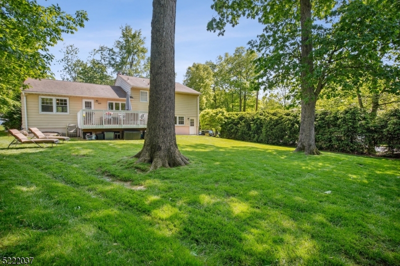 BROADLAWN - Residential