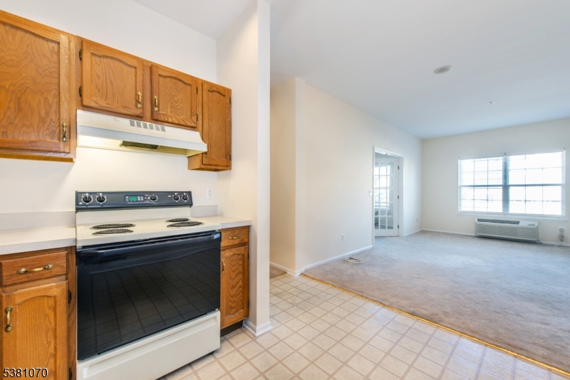 BALD EAGLE COMMONS - Residential