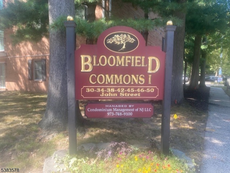 Bloomfield Comons - Residential