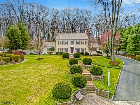 4 Barberry Row, Chester Twp., NJ 07930 - MLS#: 3893961