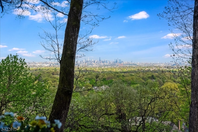 Upper Montclair - Residential