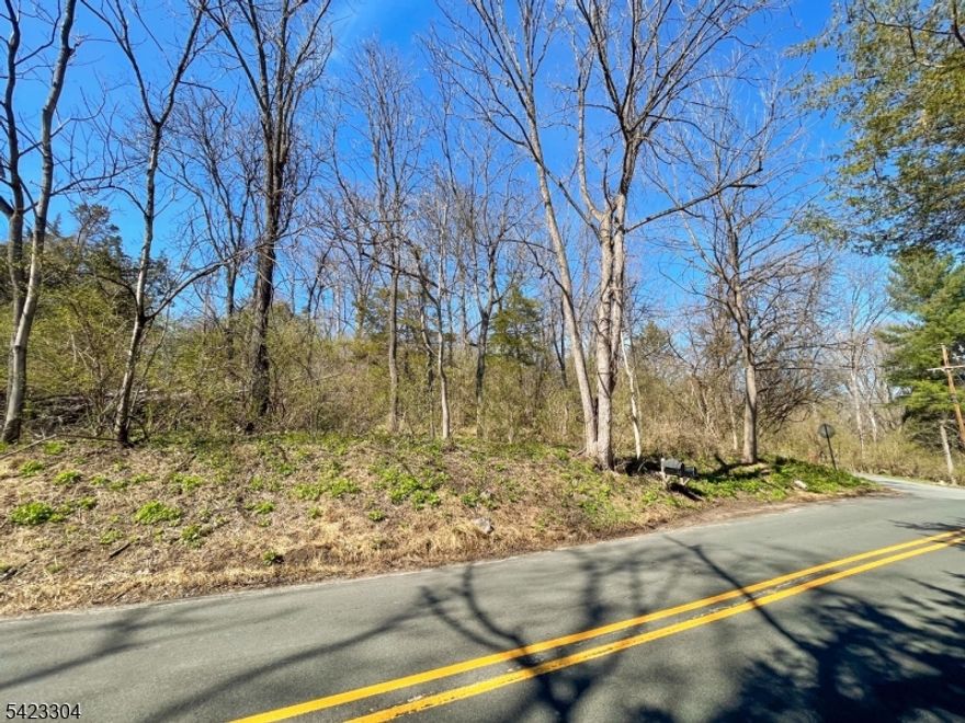 Build your dream home on this beautiful 1.04 acre parcel, ideally situated along quiet country roads. Offering a perfect balance of privacy and natural charm, the property features a mix of mature trees and open space, ideal canvas for a custom home design. Set above road grade on Ervey Rd and gently sloping along Hedden Rd, the lot provides potential, with scenic views overlooking a neighboring meadow. Whether you're envisioning a private retreat or a full-time residence, this setting delivers a peaceful, rural feel without sacrificing convenience. Enjoy easy access to local schools, shopping, and major roadways like RT 80. A rare opportunity to create something truly special in a desirable New Jersey location. Andover mailing address in Allamuchy Twp. Zoned Residential Settlement.