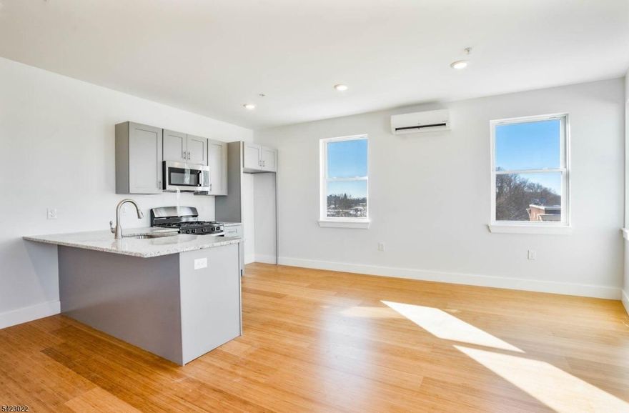 Renovated apartment in a prime Plainfield location! This bright and spacious unit features modern finishes, elevator access, and the convenience of 2 parking spaces. Just steps from public transportation, shopping, and restaurants perfect for commuters and anyone seeking comfort and convenience.