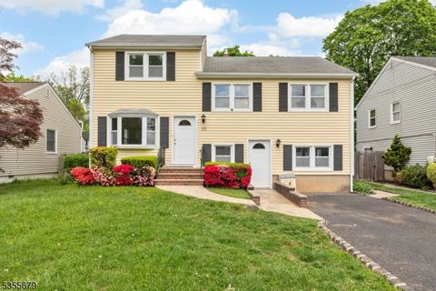 413 Victor St Scotch Plains Twp. NJ 07076