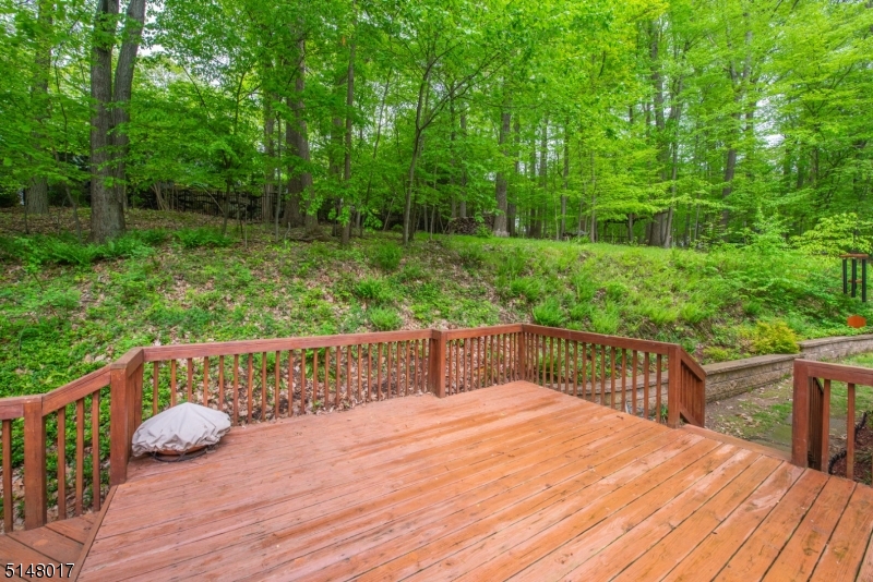 Shongum Lake - Residential