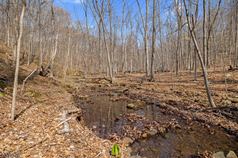 Valley - Residential
