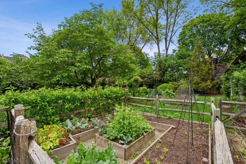 Upper Montclair - Residential