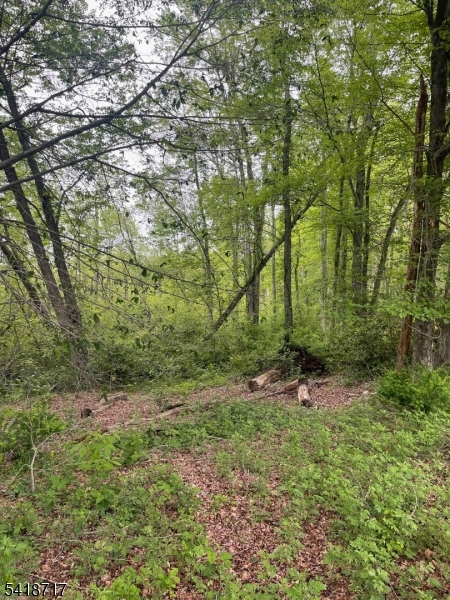 Green Viillage - Land