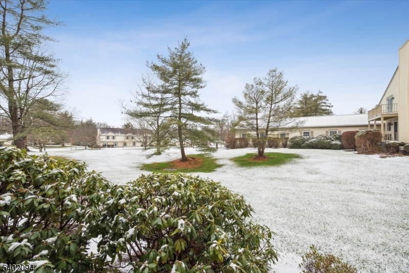 Spring Ridge - Residential Lease