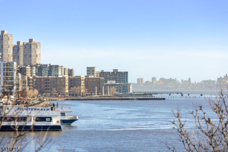 The Avenue Collection - Residential