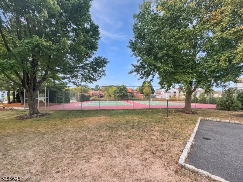 DRAKESVILLE/ROXBURY - Residential