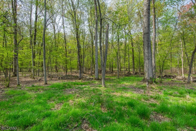 Lake Hiawatha - Residential
