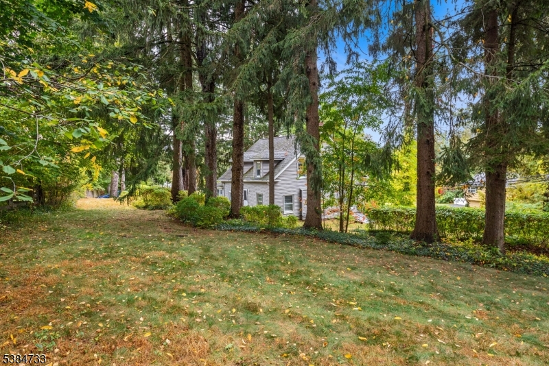 Mount Fern - Residential