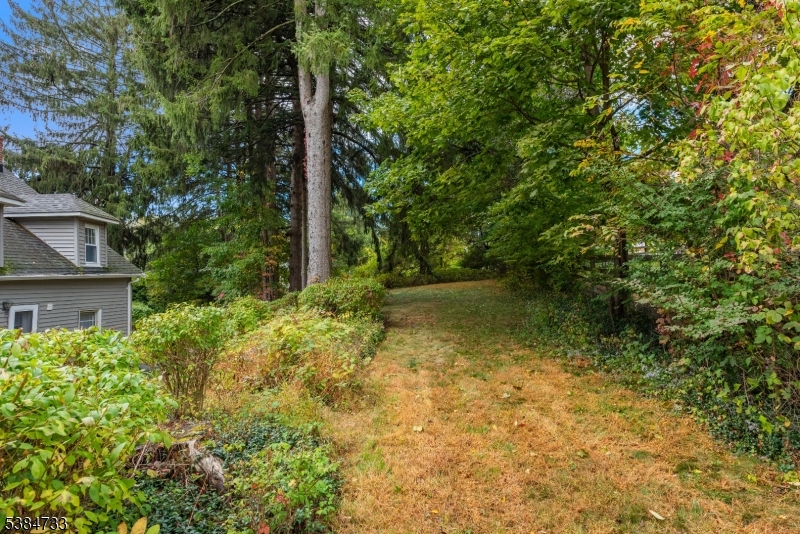 Mount Fern - Residential