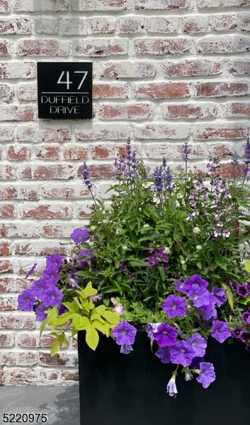 Newstead - Residential