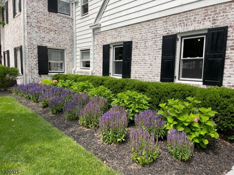 Newstead - Residential