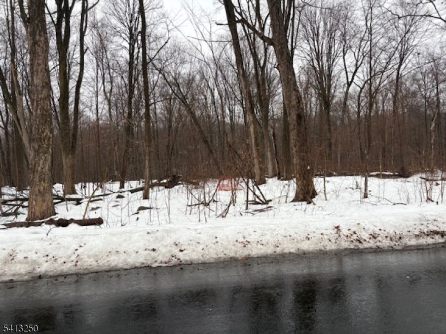 51 heavily wooded acres. Property is level at road frontage all the way to the Rockaway River. After river, property rises steeply to rear where it almost reaches Holland Mtn. Rd. There are wetlands on both sides of the Rockaway River. Property is in the Highlands Preservation Area but has a nice level wooded area in the front to build a house. The balance of the land is excellent for recreational use or hunting.