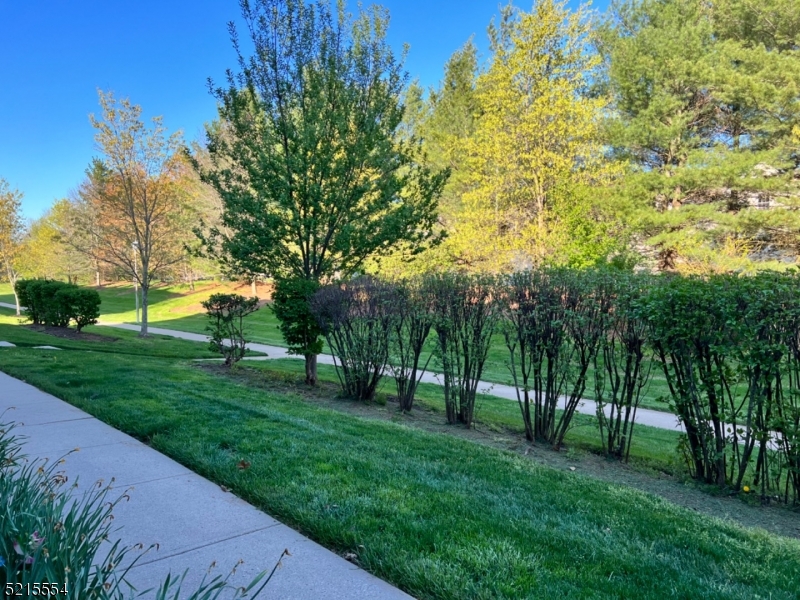 Townsende - Residential Lease