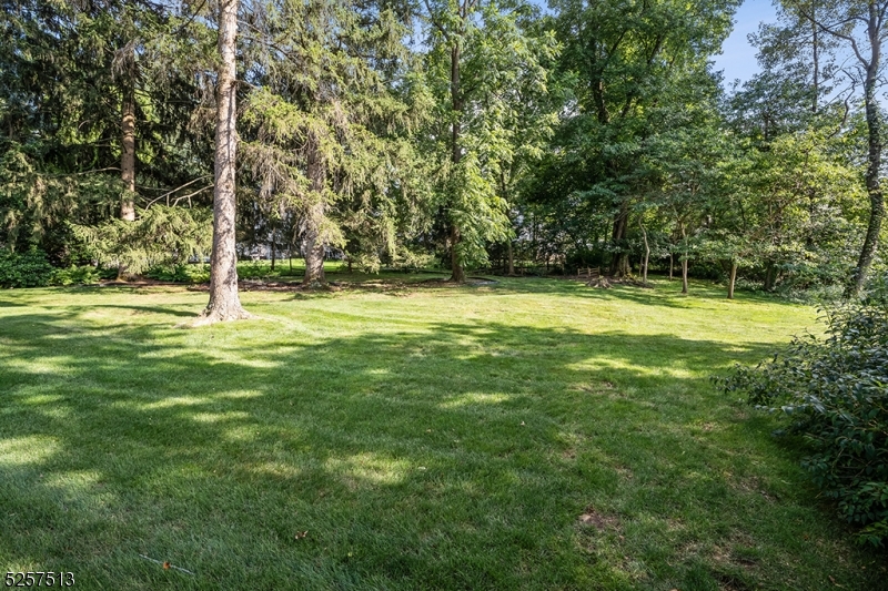 Memorial Field - Residential