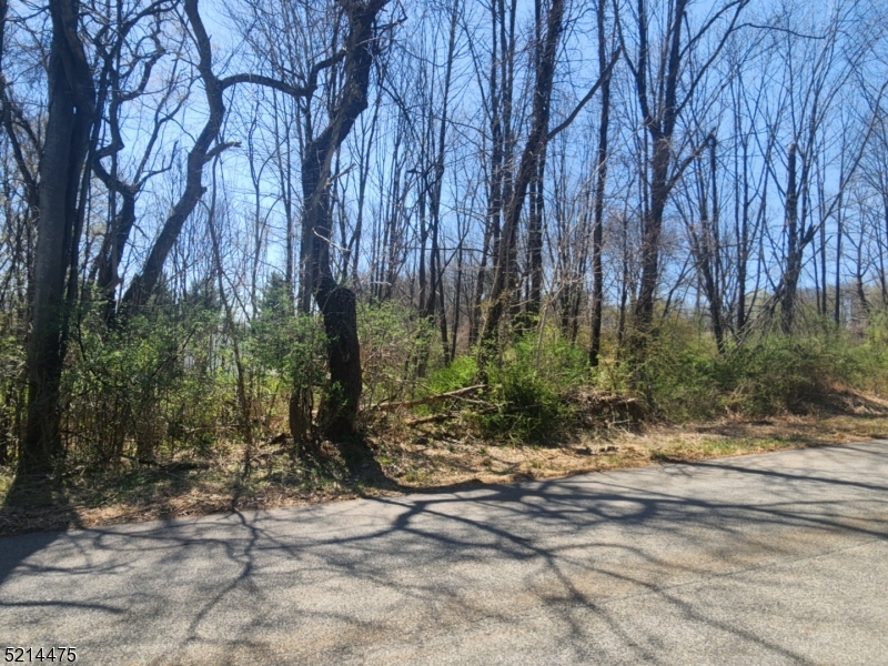 Deerfield Estates - Land