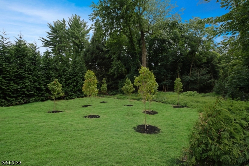 HARTSHORN - Residential