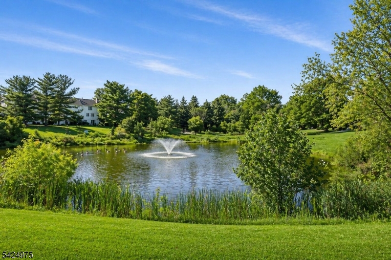 Spring Ridge - Residential