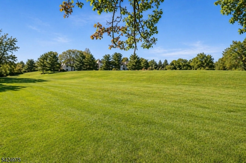 Spring Ridge - Residential