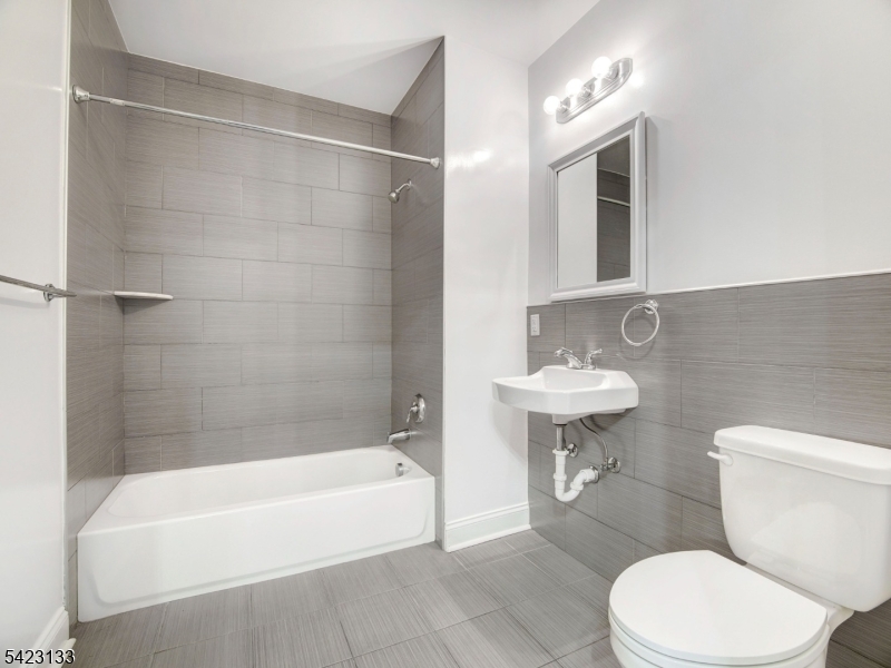 Lofts at Lincoln Park - Residential