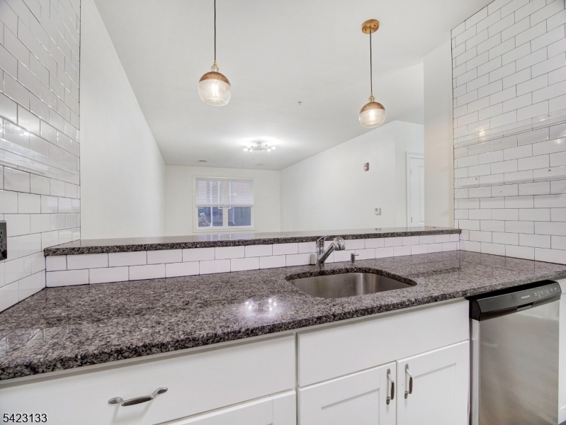 Lofts at Lincoln Park - Residential