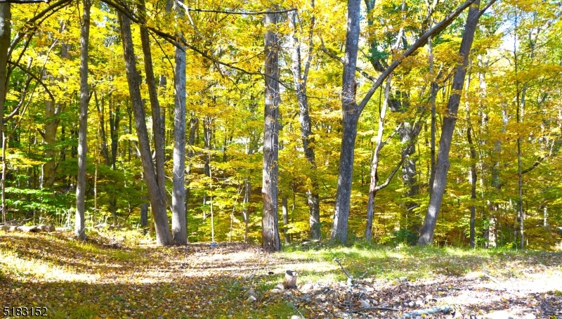 Clearview Lake Community - Residential