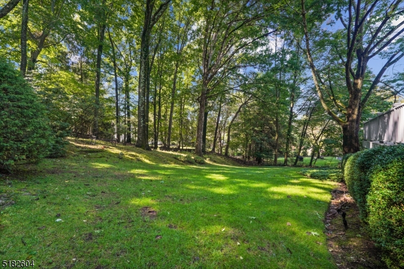 DEERFIELD - Residential